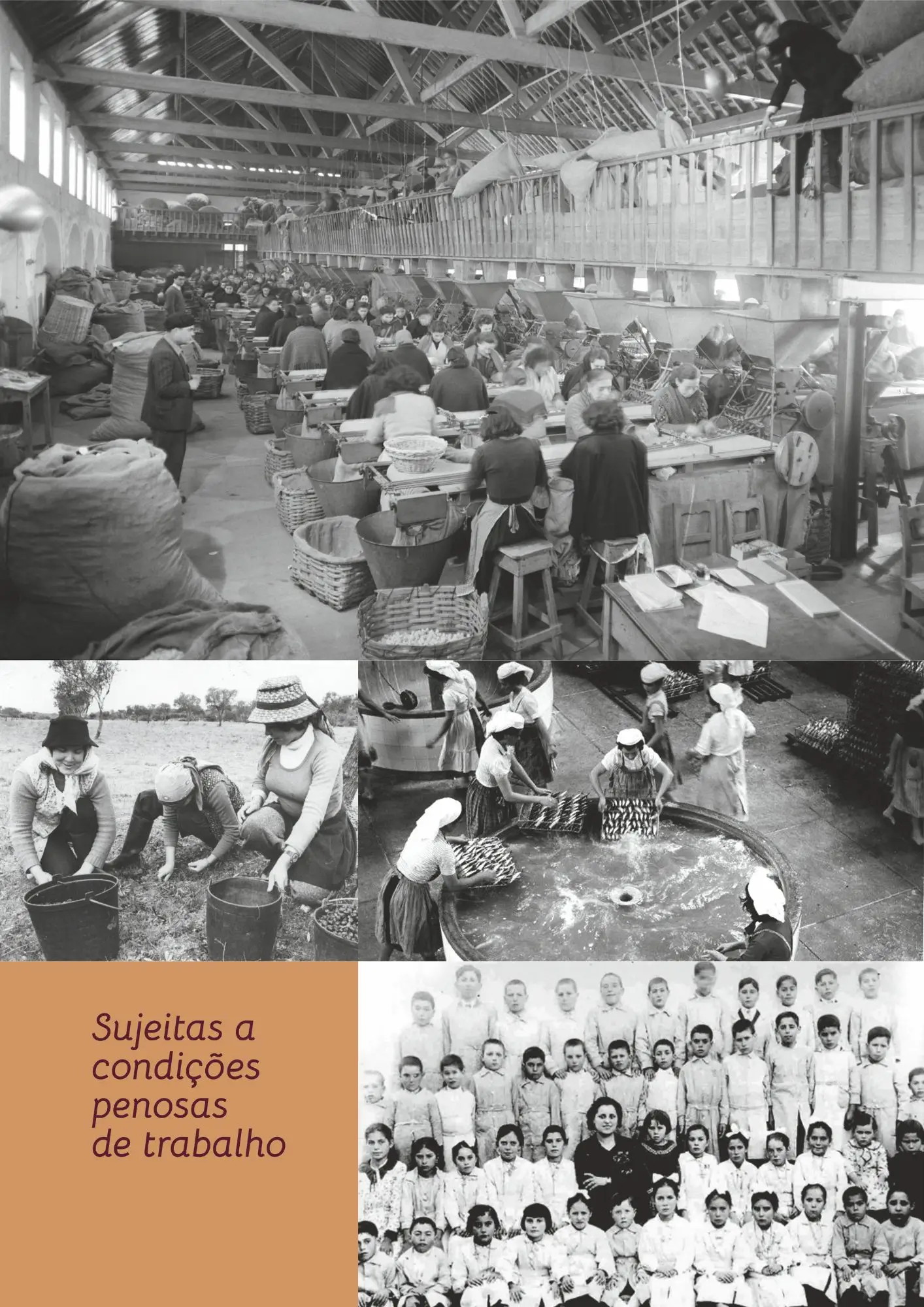 4W